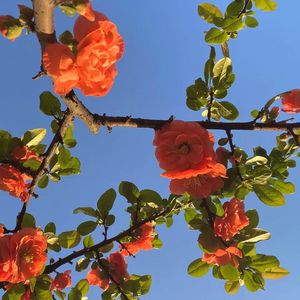 欧美喷潮高清大荫蒂AAAA
