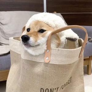 欧美喷潮高清大荫蒂AAAA
